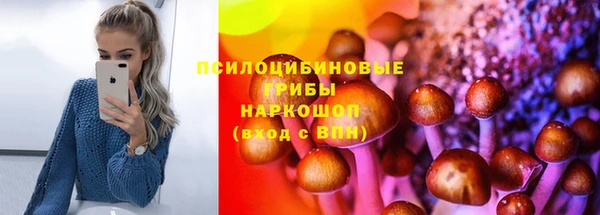 тгк Армянск