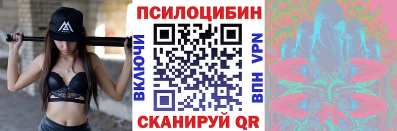 Псилоцибиновые грибы GOLDEN TEACHER  shop Telegram  Переславль-Залесский 