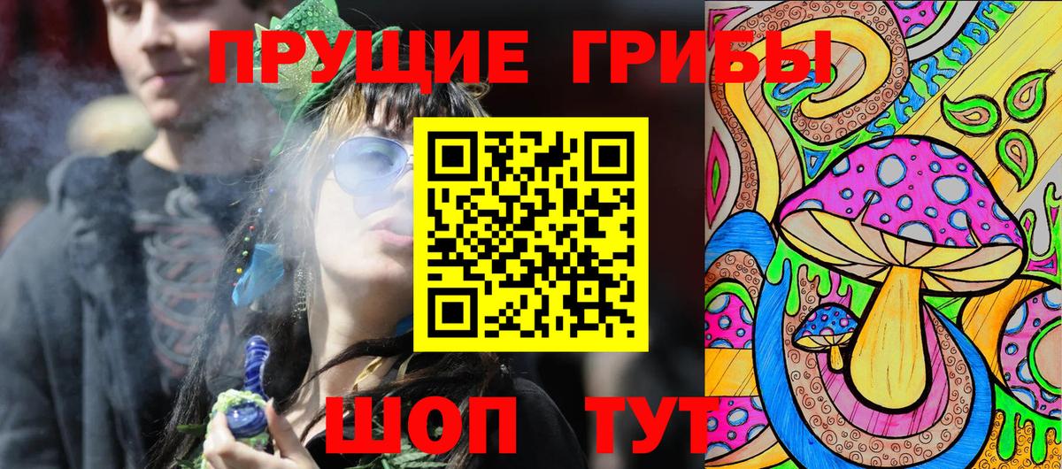 Переславль-Залесский  Псилоцибиновые грибы MAGIC MUSHROOMS  Вход с VPN  Псилоцибиновые грибы Cubensis 